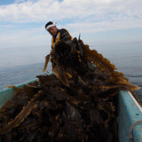 Hokkaido Ma Kombu Seaweed – Pre-Cut Kombu Kelp for Dashi Stock, Rich in Umami (0.85oz)