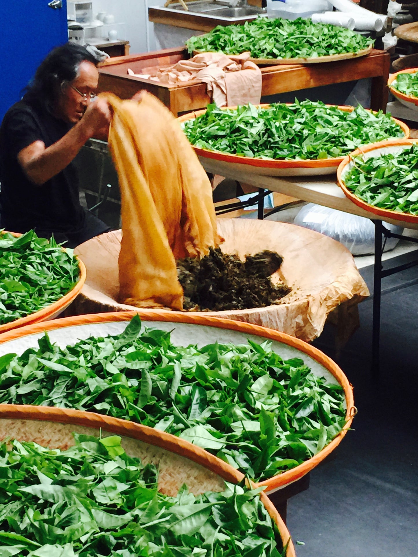 Hawaii Grown Green Tea – Forest Grown Aloha Aina Tea in Paper Filter Bags (1 oz)