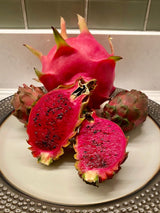 California Grown Dragonfruit Cuttings - Sugar Dragon Variety