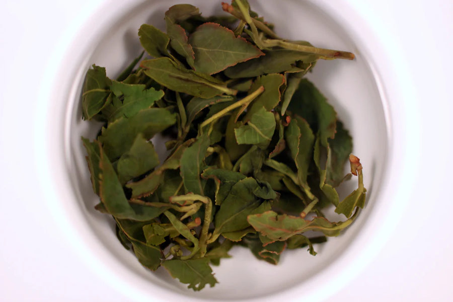 AliShan Oolong Winter 2022