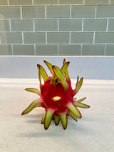 California Grown Dragonfruit Cuttings - Zamorano Variety