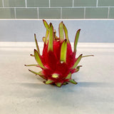 California Grown Dragonfruit Cuttings - Zamorano Variety