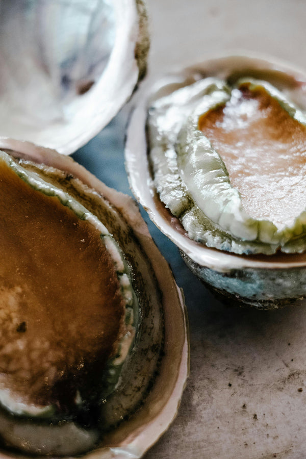 Big Island Abalone