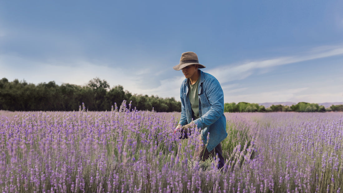 Regenerative Organic Farming at 123 Farm