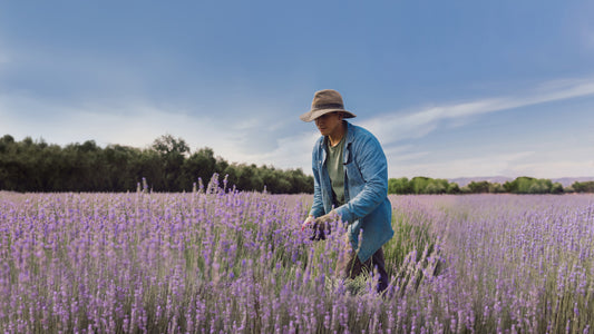 Regenerative Organic Farming at 123 Farm