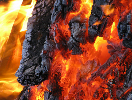 Harnessing the Power of Biochar