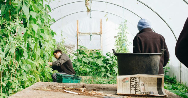 The Benefits of Farmer Co-ops