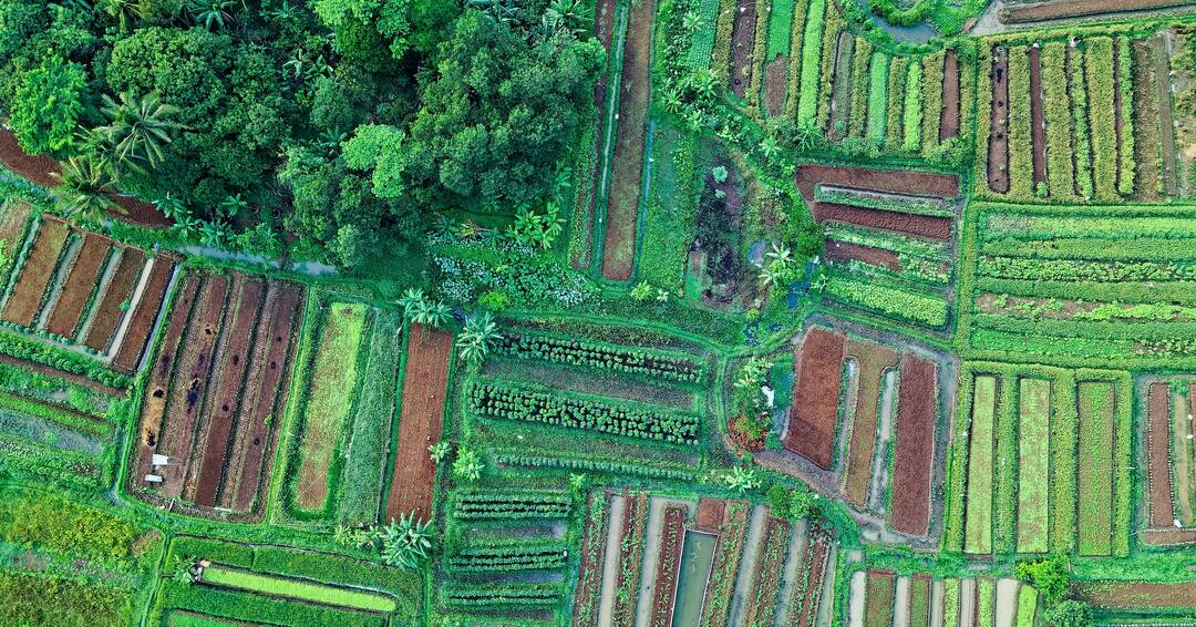 The Rise of Agritourism