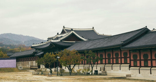 The Rich History of Jujubes in Korea