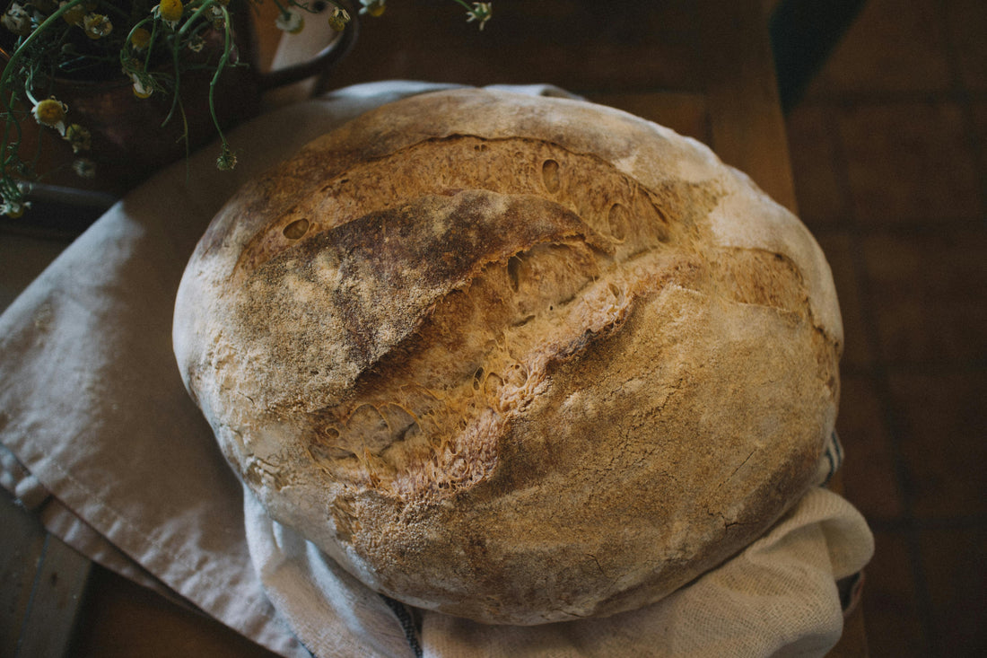 The Revival of Sourdough