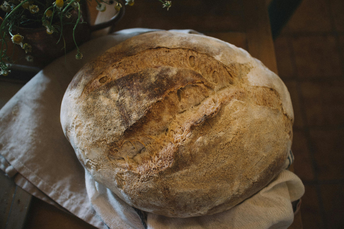 The Revival of Sourdough
