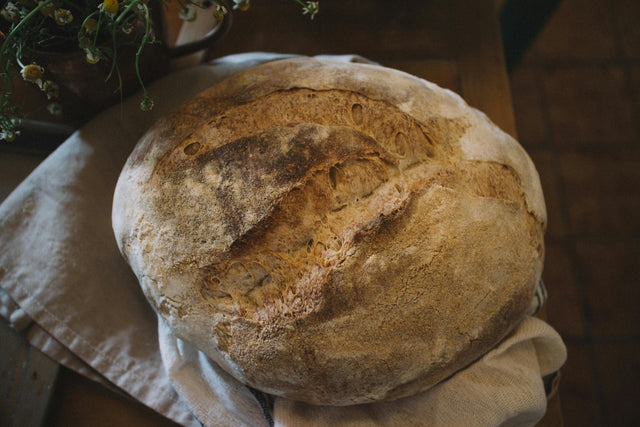 The Revival of Sourdough