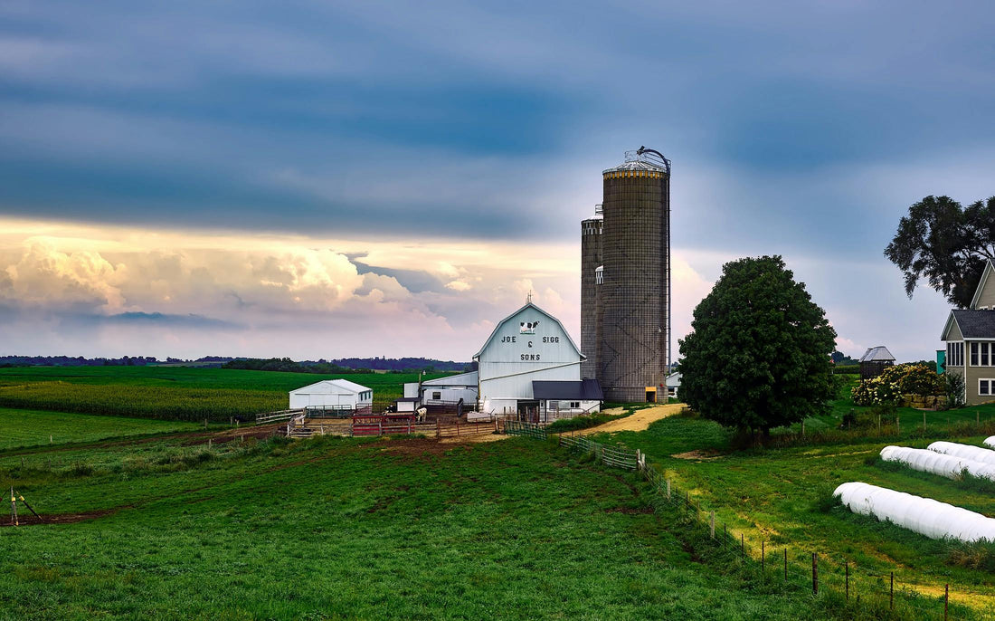 Understanding Farm Bills