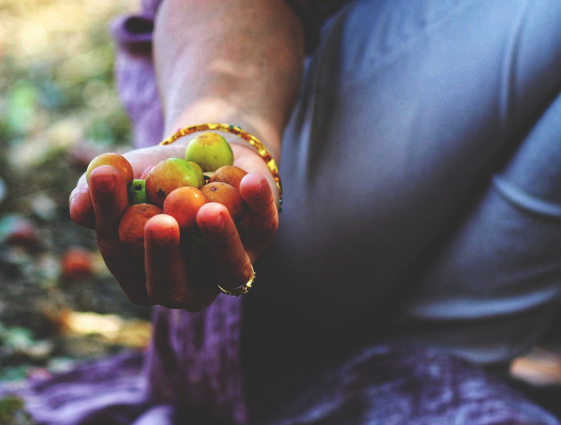 Jujubes in the United States?