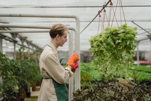 How Authority Can Help Your Farm Brand Stand Out