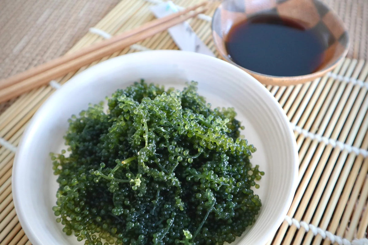 A Nutrient-Packed Superfood from the Sea