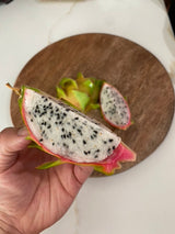 California Grown Dragonfruit Cuttings - Bruni Variety