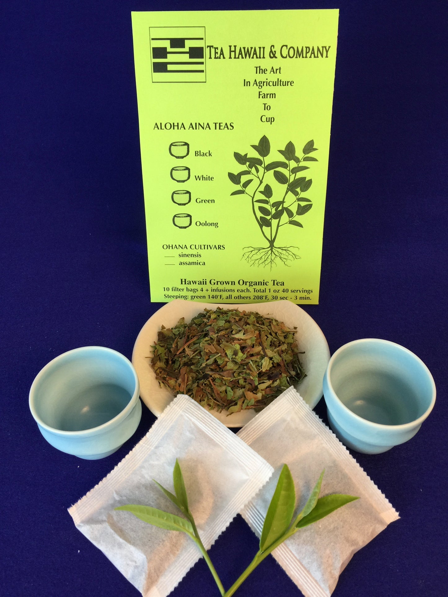 Hawaii Grown White Tea – Forest Grown Aloha Aina Tea in Paper Filter Bags (1 oz)