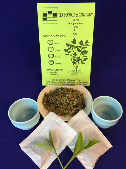 Hawaii Grown White Tea – Forest Grown Aloha Aina Tea in Paper Filter Bags (1 oz)