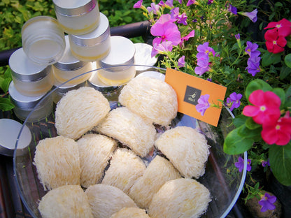 White Premium Bird's Nest Grade AAA (100g)