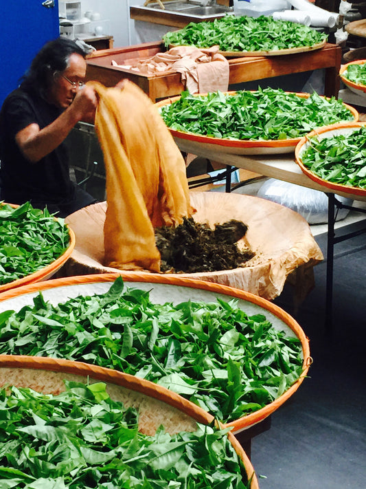 Hawaii Grown Black Tea – Forest Grown Aloha Aina Tea in Paper Filter Bags (1 oz)