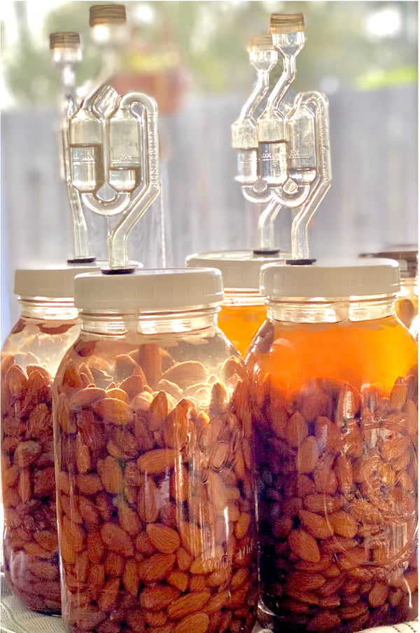 GUT NUTS: FERMENTED ALMONDS