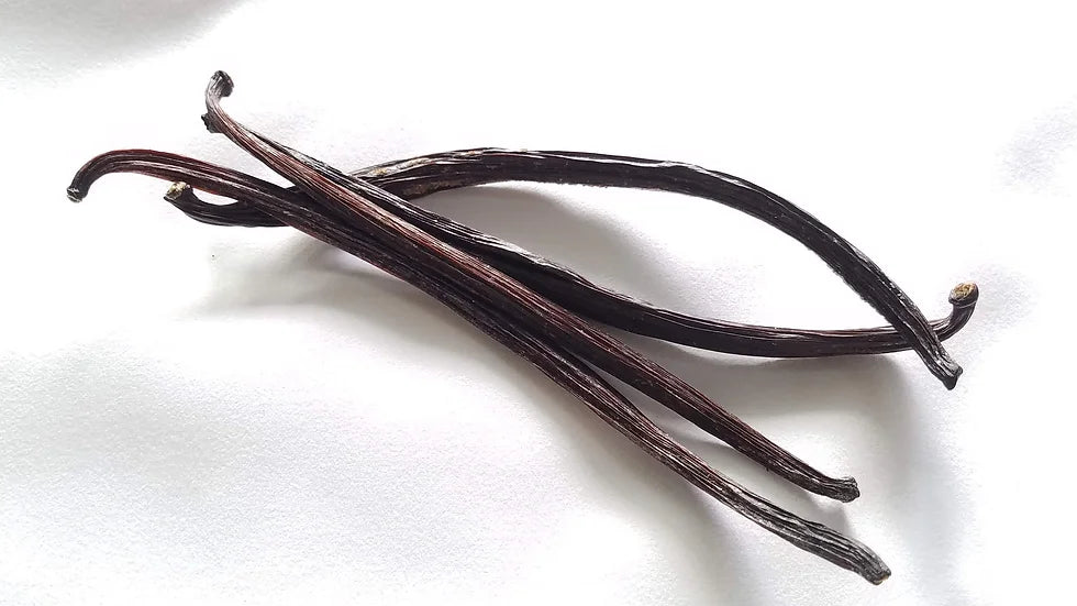 Hawaiian Vanilla Beans – Gourmet ‘Vanilla Tahitensis’
