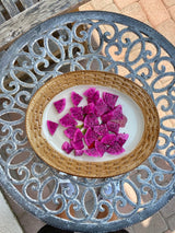 California Grown Dragonfruit Cuttings - Kathy Van Arum Variety