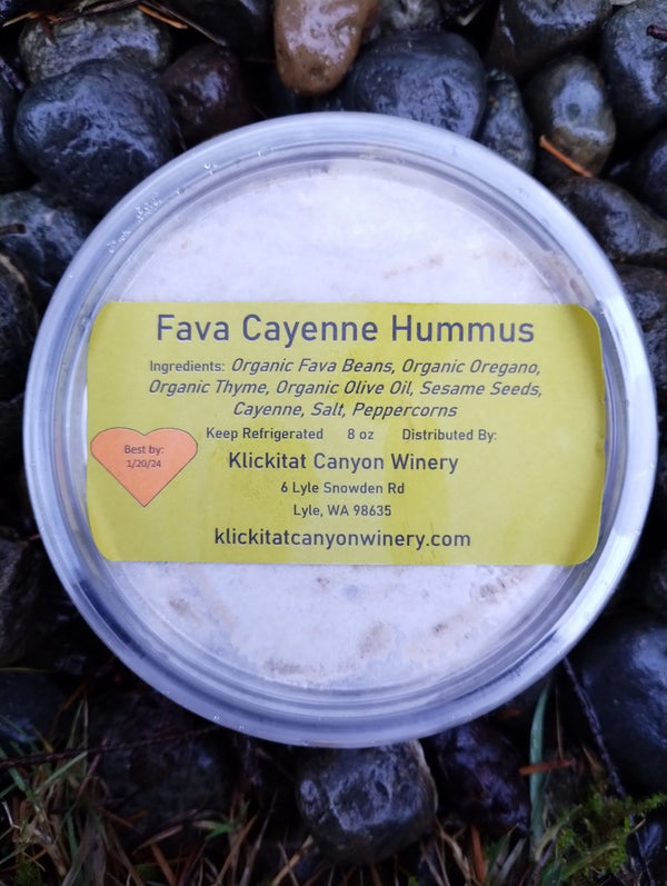 Spicy Fava Bean Hummus with Cayenne & Herbs – Bold, Savory & Warming