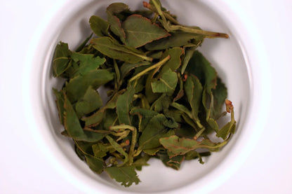 AliShan Oolong Winter 2022