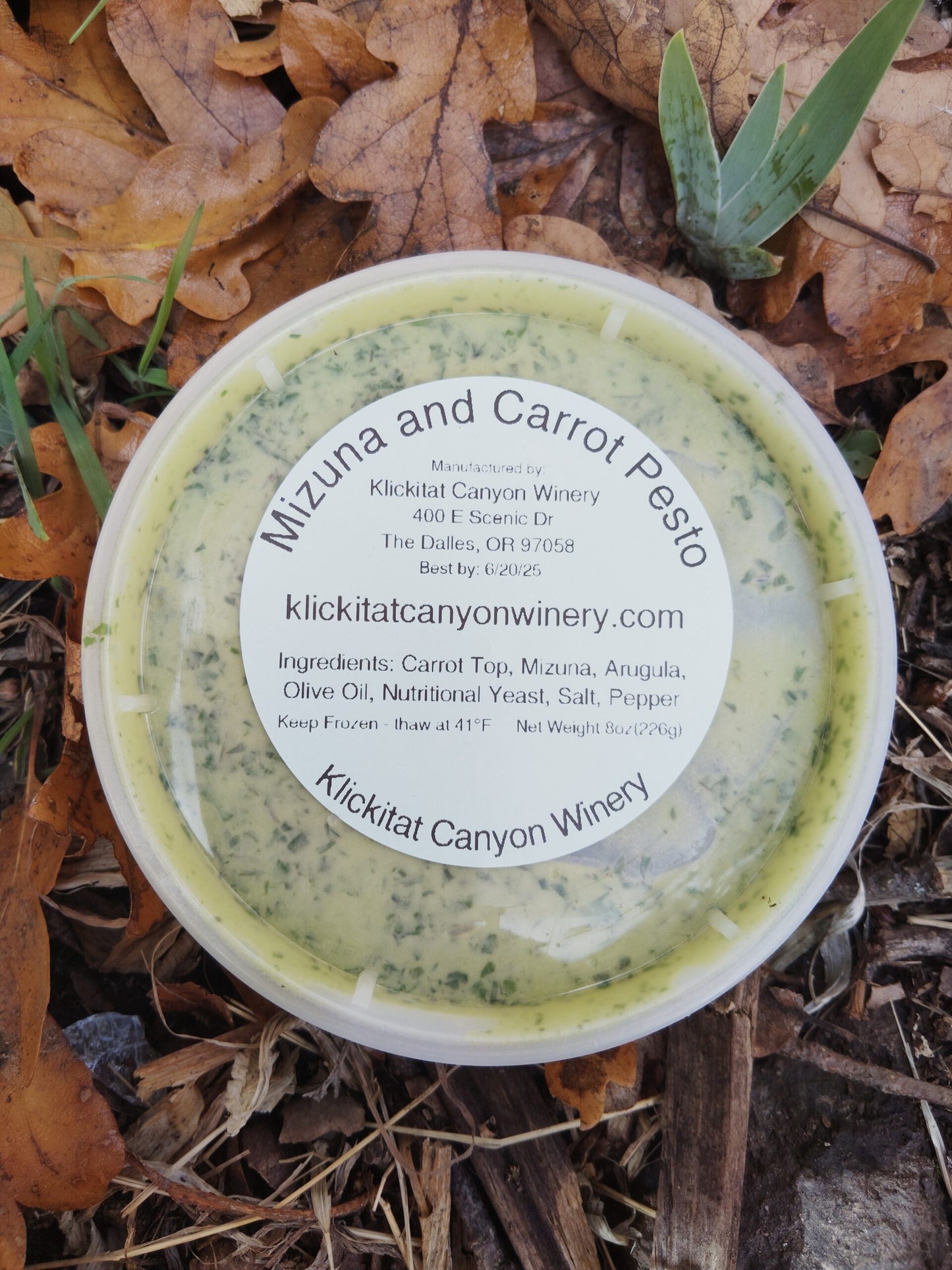 Spicy Mizuna & Carrot Top Pesto – Vegan, Nut-Free, Farm-Grown