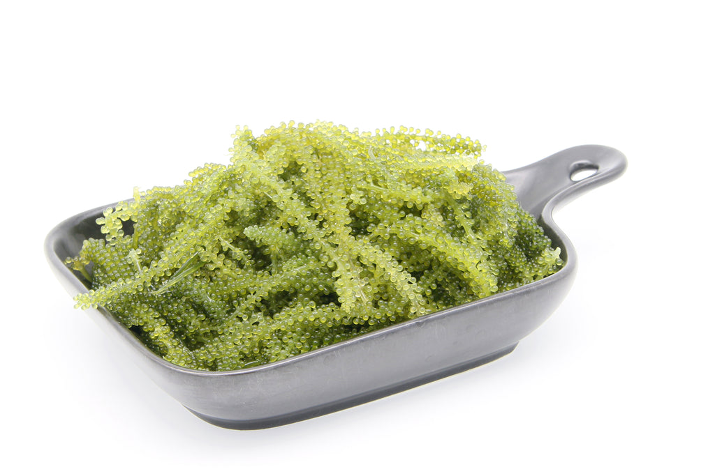Fresh Hawaiian Sea Grapes (0.5LB)