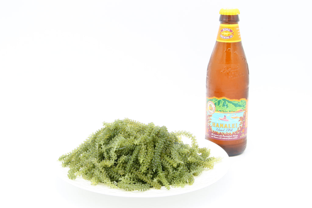 Fresh Hawaiian Sea Grapes (0.5LB)