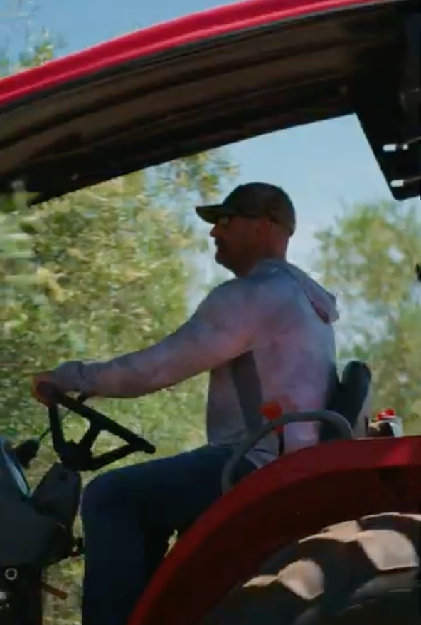 Ramona Valley Olive Oil