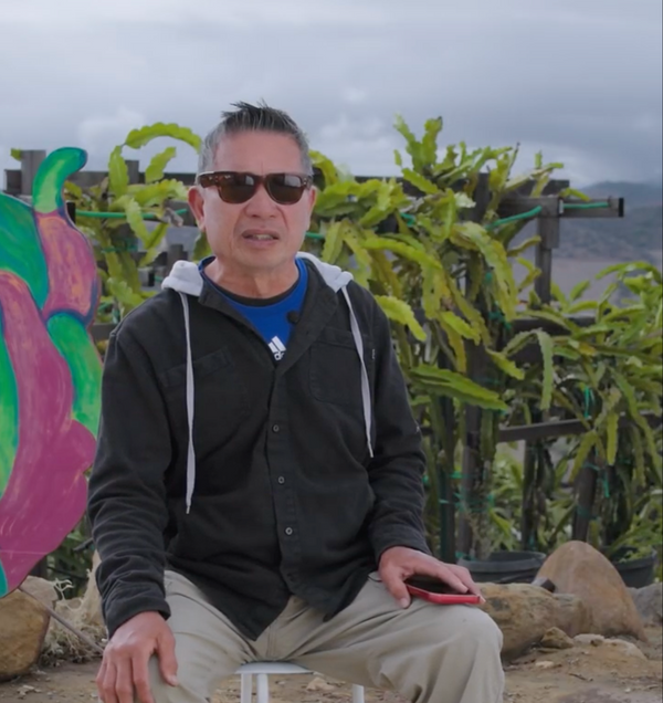 Oceanside Dragon Fruit