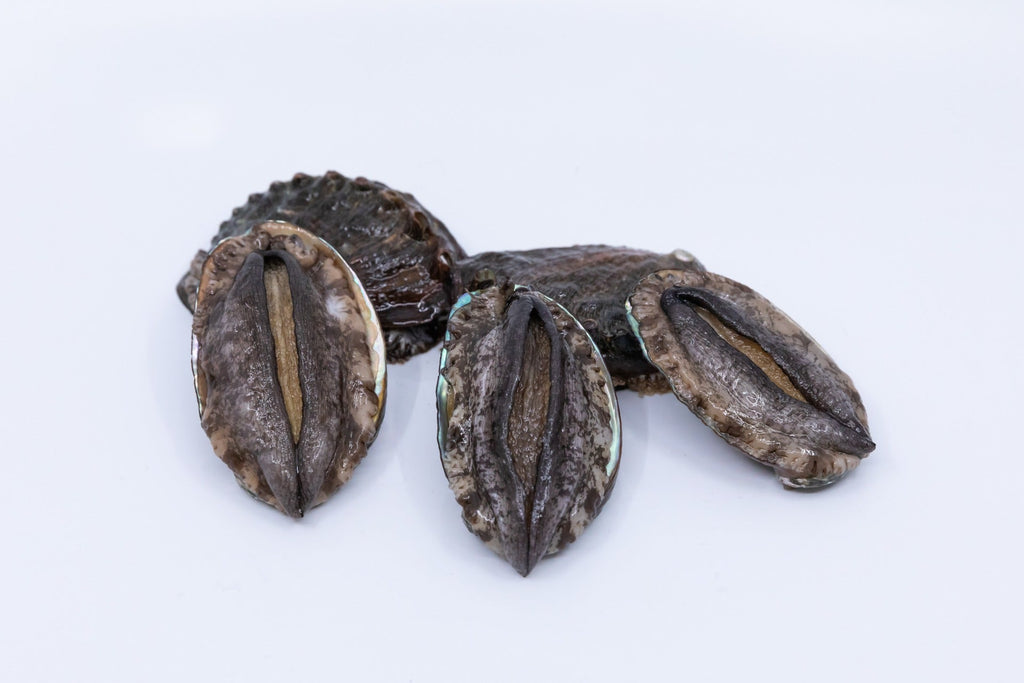 Kona Japanese Abalone Size 3 (9 to 11pcs/LB), 1LB