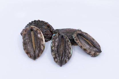 Kona Japanese Abalone Size 3 (9 to 11pcs/LB), 1LB