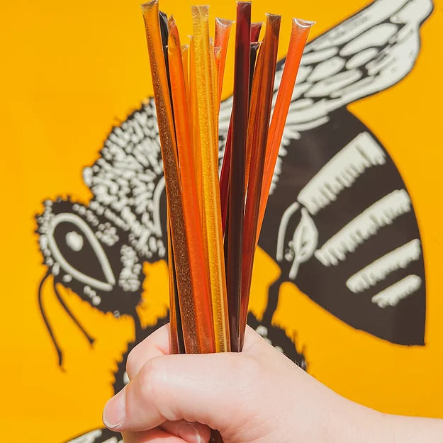 Honey Sticks Single Variety Pack! 2 of each - Wildflower, Grandma's Caramel, Brownie Batter, Blackberry, Watermelon Candy, Cinnamon, Lemon Tart!
