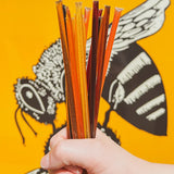 Honey Sticks Single Variety Pack! 2 of each - Wildflower, Grandma's Caramel, Brownie Batter, Blackberry, Watermelon Candy, Cinnamon, Lemon Tart!