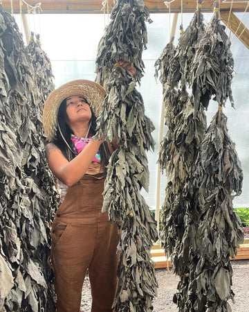 Hawaii Forest Farms logo