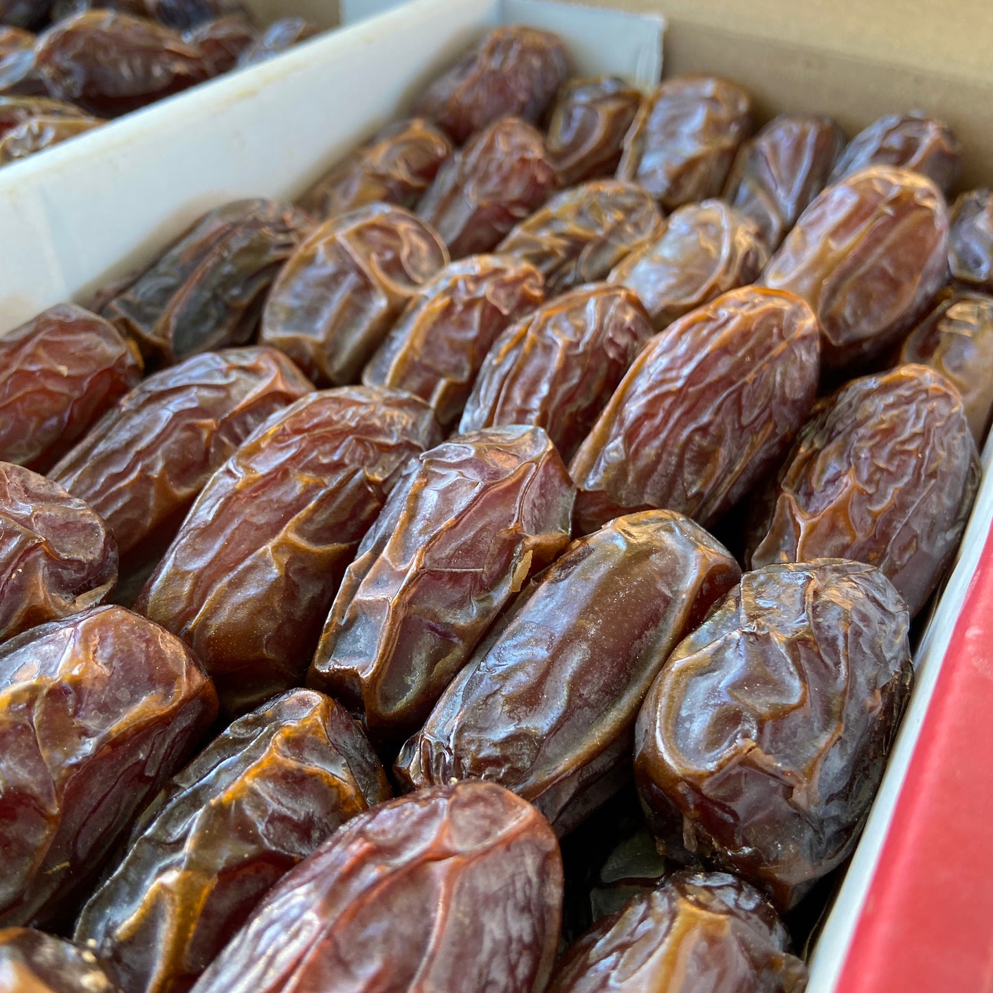 Soft Rhutab Medjool Dates - Organic Sun-Kissed In California  *PREORDER*
