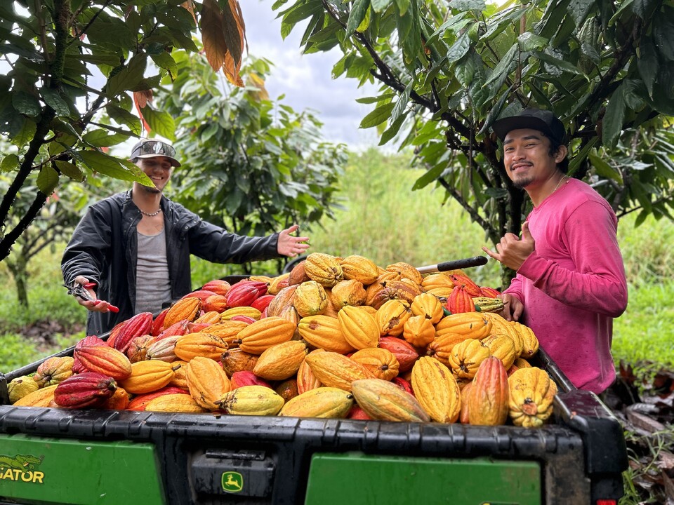 Kī Kokoleka – Hawaiian Roasted Cacao Tea with Cacao Husks & Nibs (1.5oz, ~22 Servings)