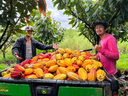 Kī Kokoleka – Hawaiian Roasted Cacao Tea with Cacao Husks & Nibs (1.5oz, ~22 Servings)