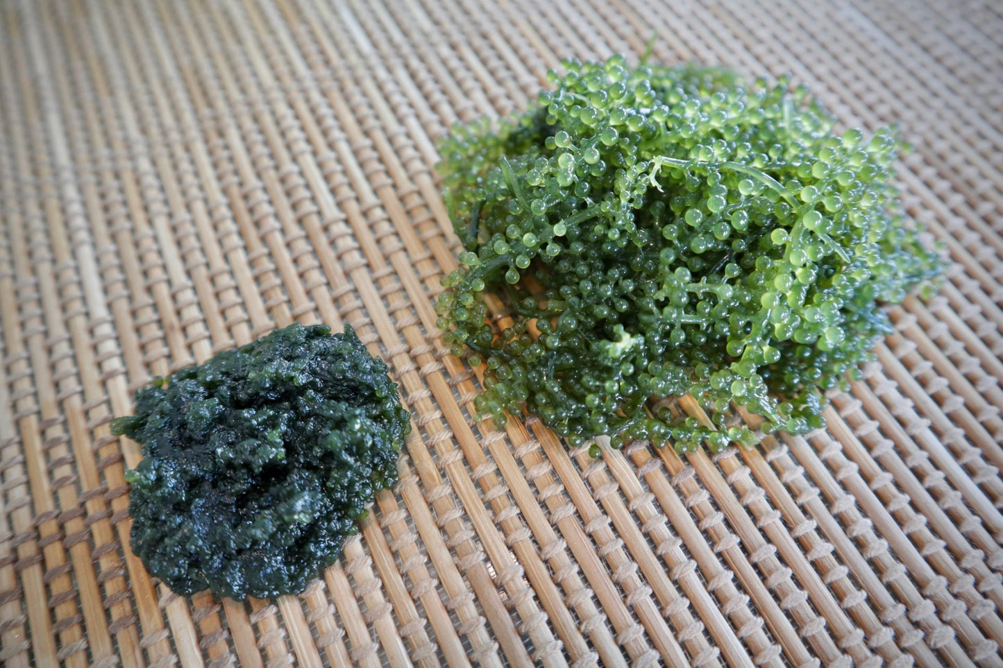 Sea Grapes From Japan - Green Caviar (40g dehydrated makes 100g)