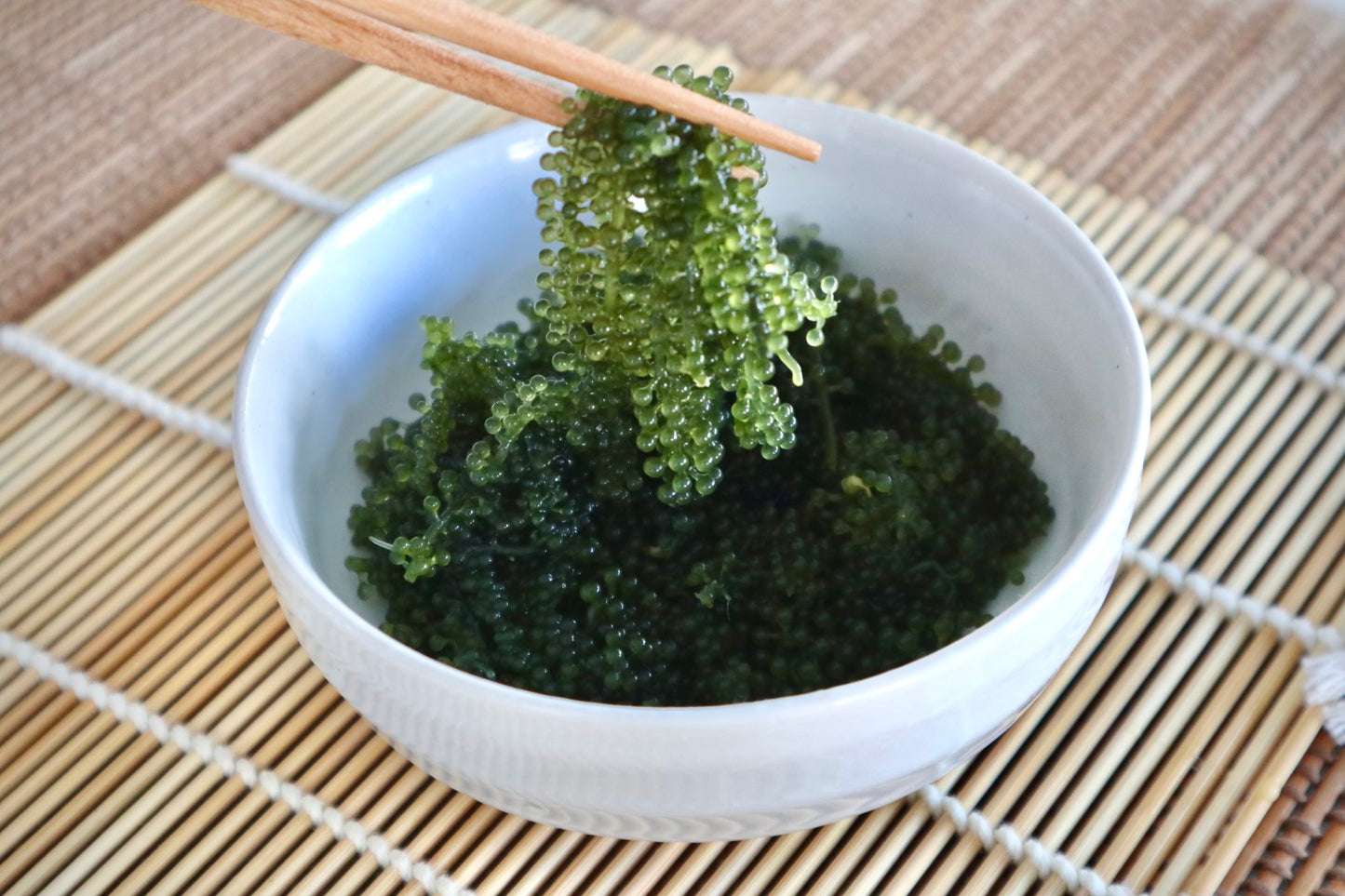 Sea Grapes From Japan - Green Caviar (40g dehydrated makes 100g)