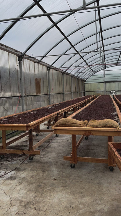 Kī Kokoleka – Hawaiian Roasted Cacao Tea with Cacao Husks & Nibs (1.5oz, ~22 Servings)