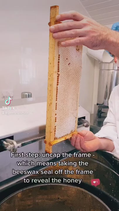 MELJESS BEES Wildflower Squeeze Jar (1.5lb)