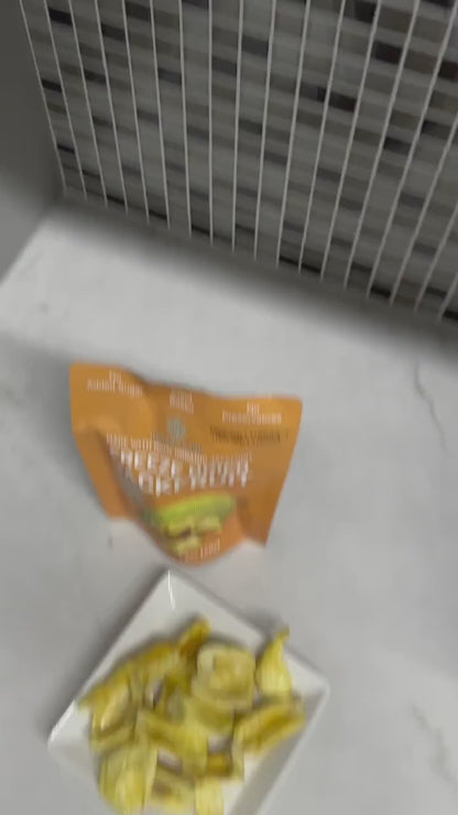 Premium Freeze-Dried Jackfruit