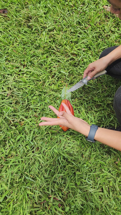 Kī Kokoleka – Hawaiian Roasted Cacao Tea with Cacao Husks & Nibs (1.5oz, ~22 Servings)