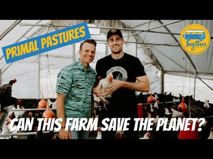 PRIMAL PASTURE Chicken Thighs